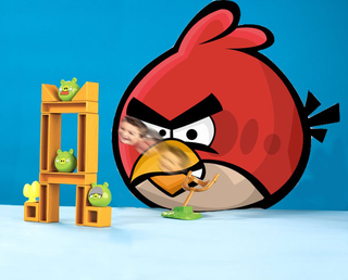 Illustration for article titled Bird Games Winners